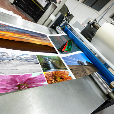 Quality printing services for organisations