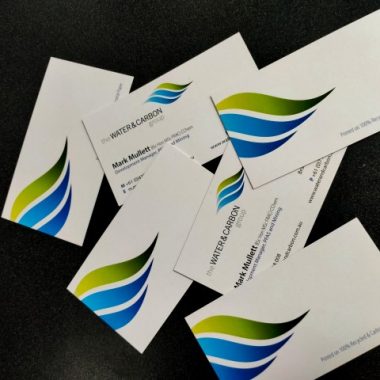 Business Card 12 (Small) green-blue business card